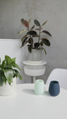 Porter Green Homeware mist + ink Porter Green Fegg | Unbreakable Silicone Tumblers | Paisley | Dalston clothing