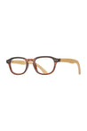 Blue Planet Readers blue tortoise / 1.25 Berkley Readers