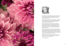Dreaming In Petals - Sandra Kaminski | Dalston clothing