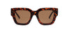 Privé Revaux sunglasses tortoise The New Yorker Tortoise